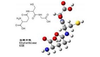 谷胱甘肽是什么？谷胱甘肽的好處和存在形式谷胱甘肽