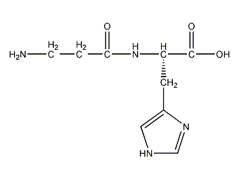 肌肽的作用有哪些？肌肽時(shí)候什么樣的人群使用？