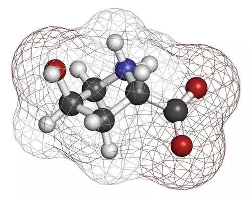 什么是小分子多膠原蛋白肽？小分子多肽膠原蛋白肽有什么作用？