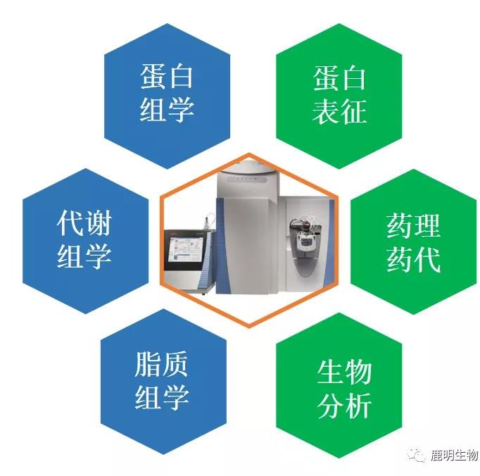 生物藥定性分析檢驗(yàn)（蛋白質(zhì)、多肽）、臨床醫(yī)學(xué)前DMPK科學(xué)研究及微生物剖析、生物藥