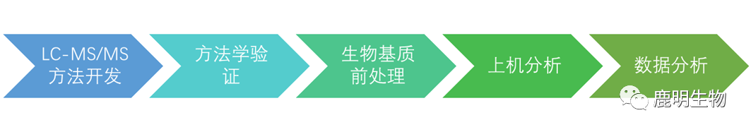 生物藥定性分析檢驗(yàn)（蛋白質(zhì)、多肽）、臨床醫(yī)學(xué)前DMPK科學(xué)研究及微生物剖析、生物藥