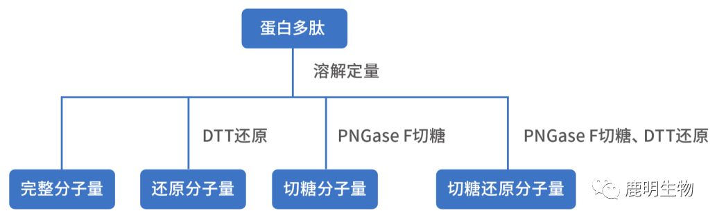 生物藥定性分析檢驗(yàn)（蛋白質(zhì)、多肽）、臨床醫(yī)學(xué)前DMPK科學(xué)研究及微生物剖析、生物藥