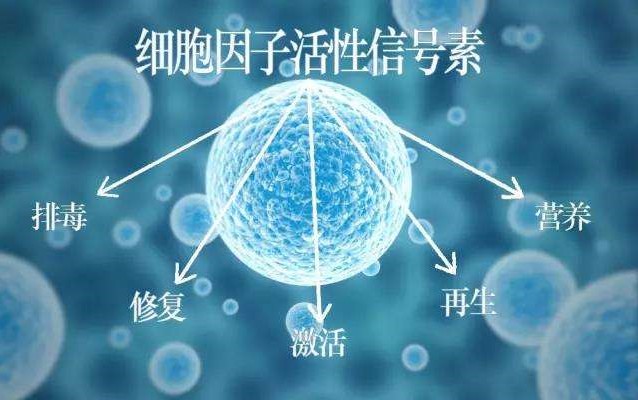 肽的分類(lèi)有哪些？如何區(qū)分小分子小分子活性肽的好壞