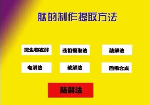 肽的分類(lèi)有哪些？如何區(qū)分小分子小分子活性肽的好壞