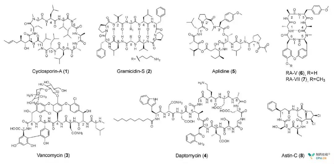 淺談環(huán)肽類分子藥物開發(fā):值得深耕的藥物領域