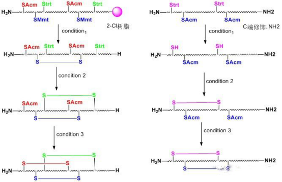 肽對(duì)二硫鍵的環(huán)化技術(shù)