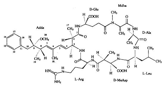 蜈蚣為什么傷人，原來是多肽分子搞的鬼