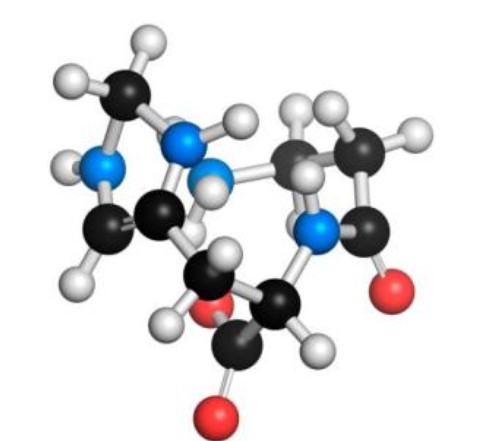 L-肌肽對皮膚的作用與功效，你知道多少？