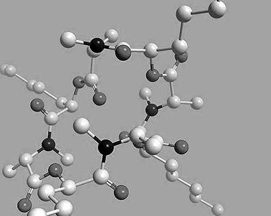 PNAS:我國科學家表明心臟多肽生長激素心室利鈉肽抑止神經(jīng)遞質前神經(jīng)遞質傳送的信號