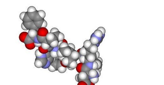 有關(guān)多肽肌膚護(hù)理，你需要了解的一切！