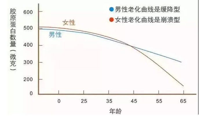 膠原蛋白是啥?？為什么說(shuō)它很重要？本文給大家答案