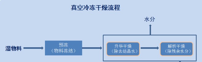 凍干粉走紅，凍干技術(shù)有目共睹