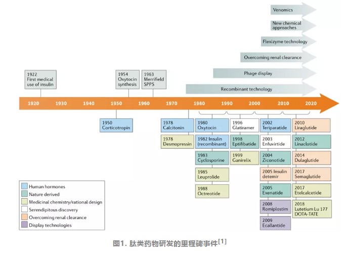 肽類藥的研發(fā)進(jìn)度,你知道嗎？