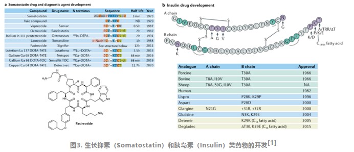 肽類藥的研發(fā)進(jìn)度,你知道嗎？