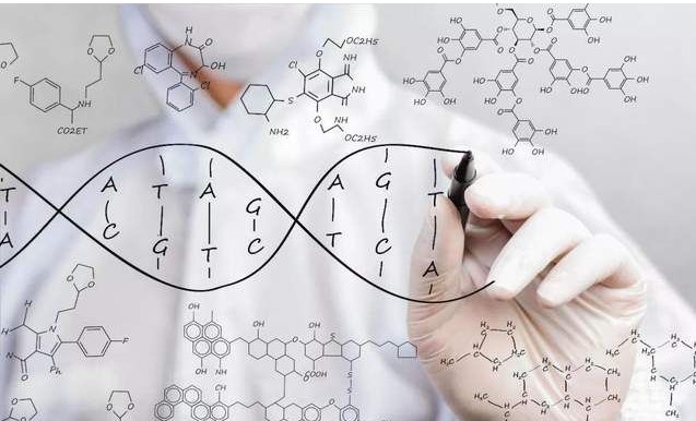 有些人說沒有肽就沒有生命 ，這一說法對(duì)不對(duì)，為什么會(huì)那么說？