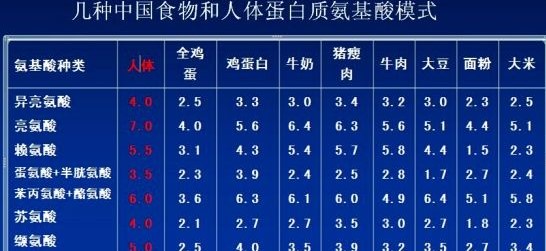 氨基酸講解教你怎樣獲得優(yōu)質(zhì)蛋白質(zhì)？