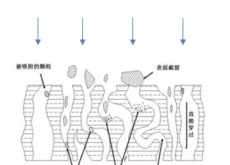 如何提高抗體純化高效率？?今日聊一聊離心、過(guò)濾