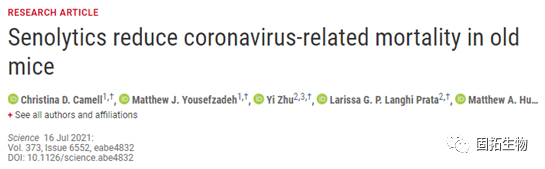 在臨床前動(dòng)物中，抗衰老藥物可降低冠狀病毒相關(guān)的死亡率