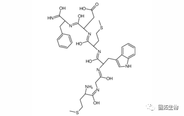 固拓生物多肽的三個(gè)重要的特點(diǎn)