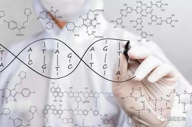 有人說沒有肽就沒有生命，這個(gè)說法對嗎，為什么會這么說？