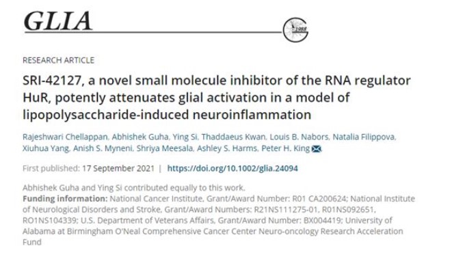 小分子抑制劑SRI-42127強(qiáng)力阻攔神經(jīng)炎癥，有希望治療一系列神經(jīng)系統(tǒng)退行性疾病