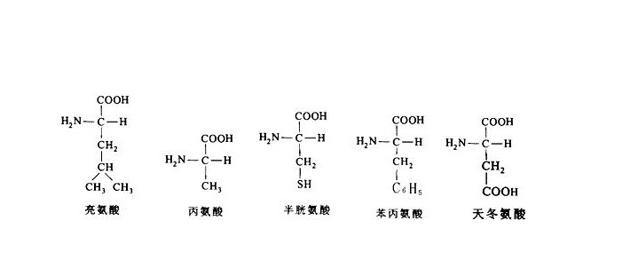 非天然氨基酸的應用現(xiàn)狀和前景