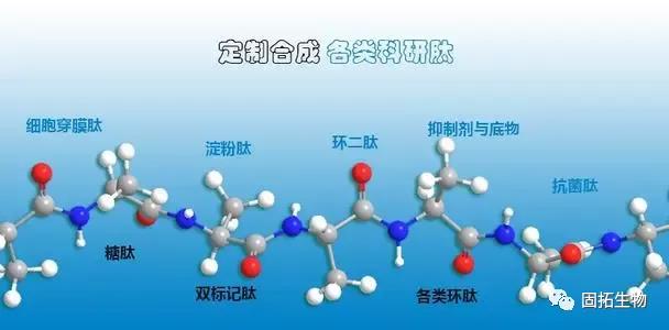 固拓生物-多肽合成為什么要去除TFA？