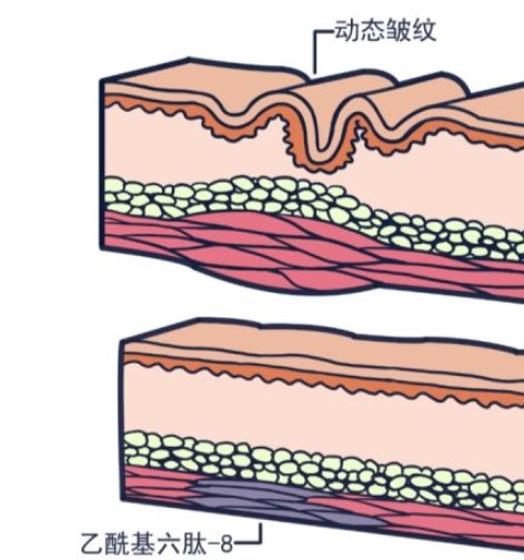 我是美容護(hù)膚多肽?，一個(gè)?平平無(wú)奇的成份小天才