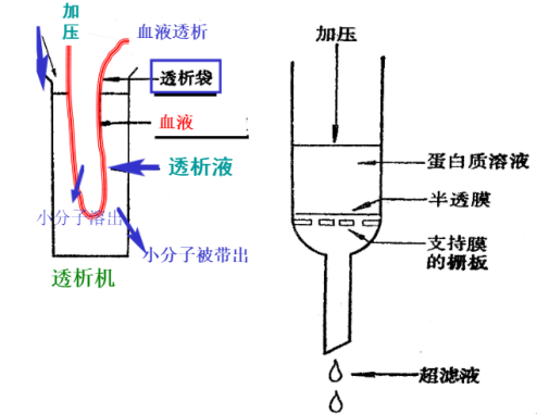 簡述蛋白質(zhì)、多肽液相色譜純化方法及準(zhǔn)備工作