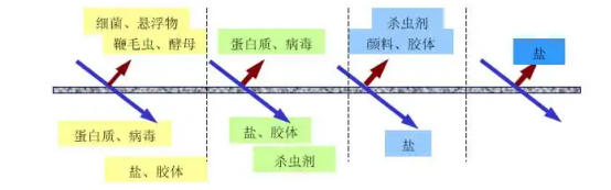 多肽的純化使用膜分離技術(shù)有哪些優(yōu)勢