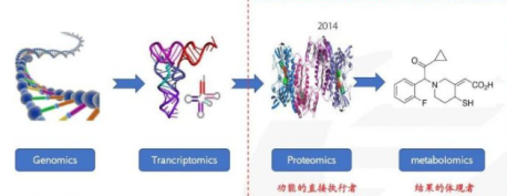 什么是生物標(biāo)志物？如何對多肽進(jìn)行生物標(biāo)志物鑒定？