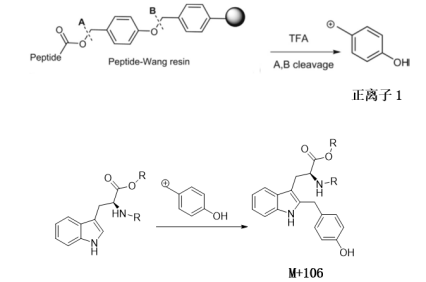 多肽固相合成有哪些常用樹(shù)脂？