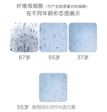 乙酰基六肽-7對皮膚的作用機理