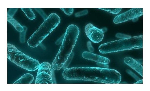 了解抗菌肽分類(lèi)、功能機(jī)制和生物性能機(jī)制