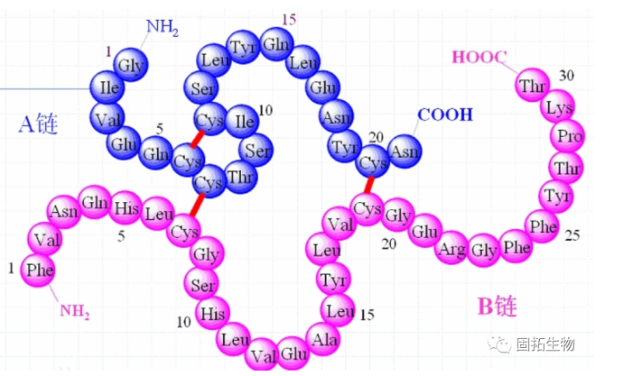 多肽內(nèi)二硫鍵問(wèn)題