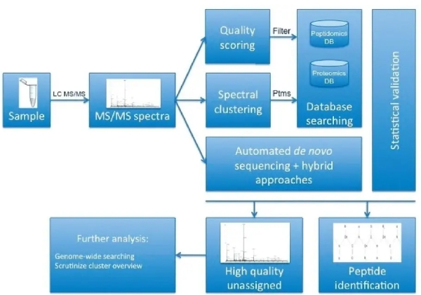 多肽質(zhì)譜的進(jìn)一步探索
