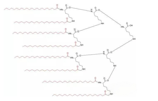 常見3種多聚抗原肽的設(shè)計(jì)合成（MAPs）